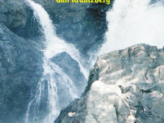 Cover page of the Lake Governance book