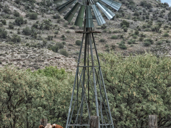 David Schafer - Waiting by the Windmill, Camp Verde