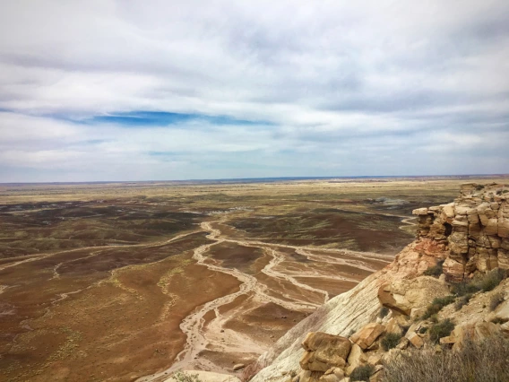 Nikki Tulley - Water is Coming, Petrified Forest National Park