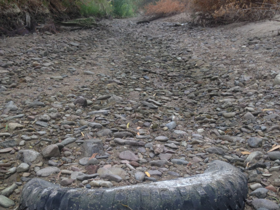 Louis Shanley - Rubber Meets the Road, Santa Cruz River at Silverbell District Park
