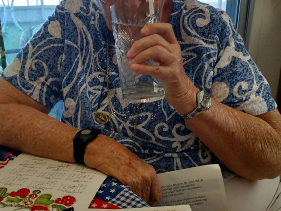 Anne-Marie Meegan - Mrs. Barbara A Meegan, Navy Veteran drinking Arizona water from Libby glass