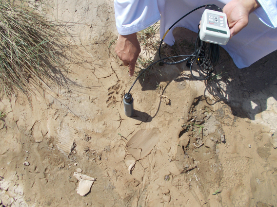 Anvar Kacimov Oman soil moisture content measurement in wadi bed