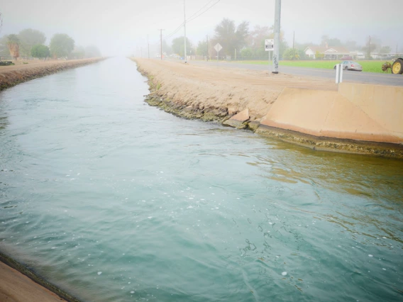 Rosa Bevington - Canal - Yuma 2018