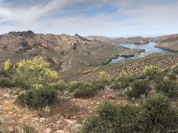 Jenell Biggs - Spring at Canyon Lake 2020 Arizona