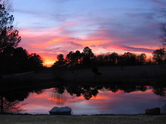 Annette Coffey - Sunset on the Farm 2005 Lindale