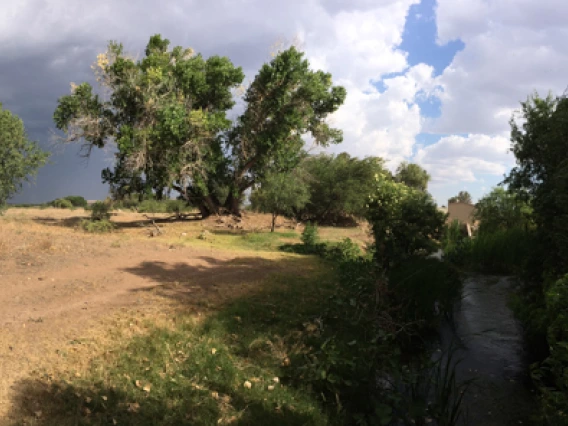 Olga Hart - Santa Cruz River Prepares For Rain 2018 Rio Rico