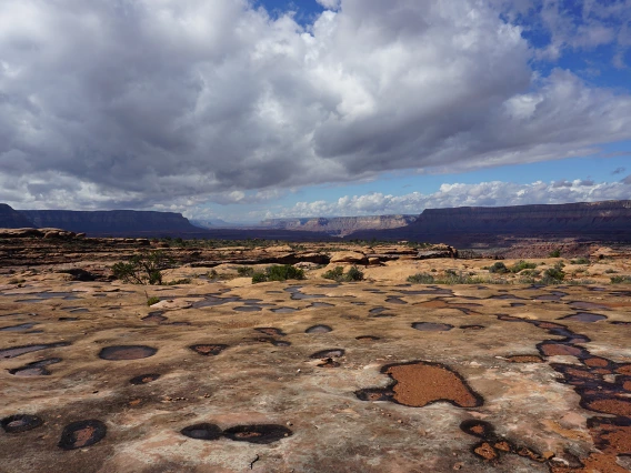 Lauren Hixson - Pools On The Esplanade Grand Canyon 2018