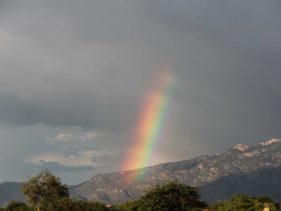 Ronald Holle - Rianbow - Oro Valley