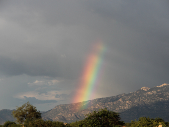 Ronald Holle - Rianbow - Oro Valley