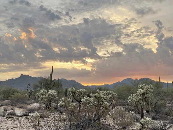 Mark Johnson - Tortolita Preserve Sunrise June 2021