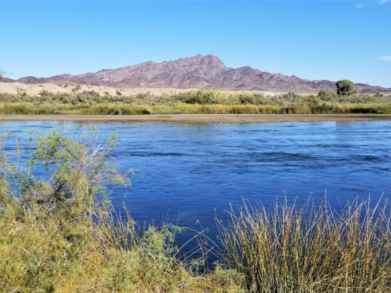 Mercedes Kaiser - CRIT Scenery 2018 Colorado River Poston Arizona