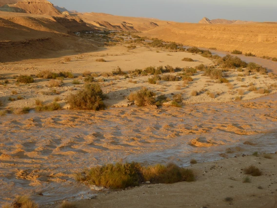 Nina Kamennaya - Sand sky flow 2018 Ramon Crater