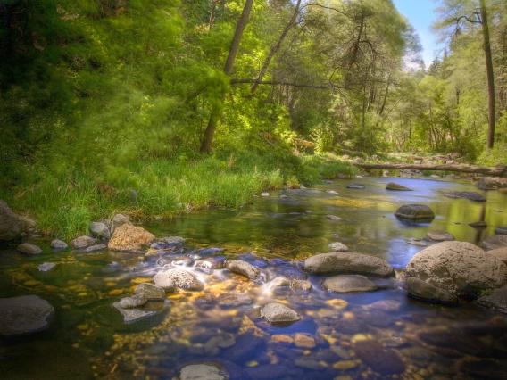 David Quintero - Flowing Creek 2014 Sedona