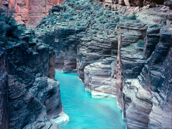 Alec Robinson - Untitled - Havasu Creek