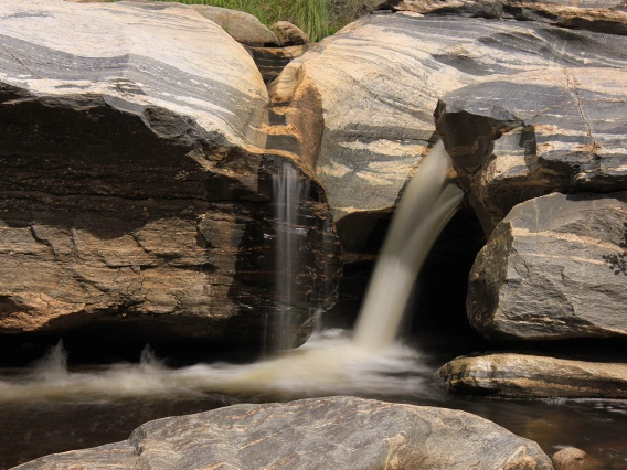 Roger Wolf Sabino Creek