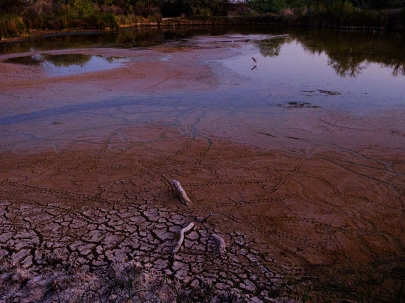 Julius Schlosburg - Quitobaquito Pond 2020