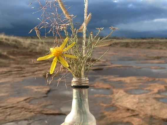 Natila Sherman Robbins - Rezflections - Tonalea, Az Navajo Nation