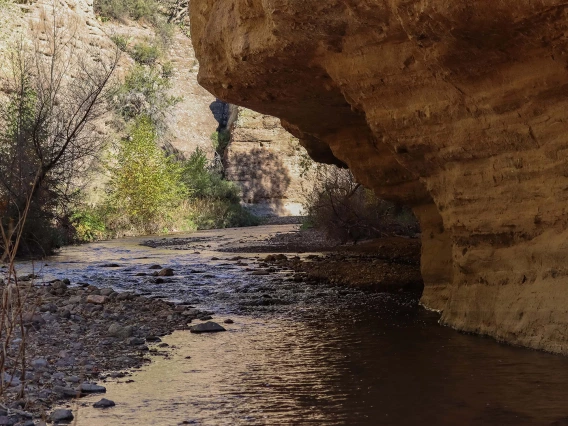 Todd Taylor - The bite Nov 2021 Aravaipa Canyon