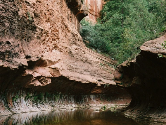 Shelby Thompson - Mythological Beauty 2021 Oak Creek Canyon