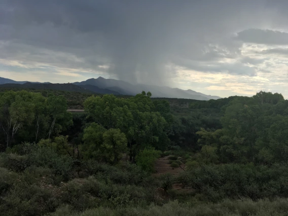 Tina Baker - Flash Flood Warning - Cienega Creek 2018