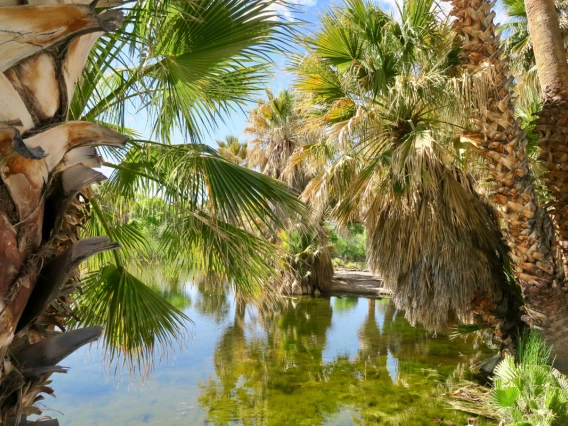 Gilles Boyer - Agua Caliente Park