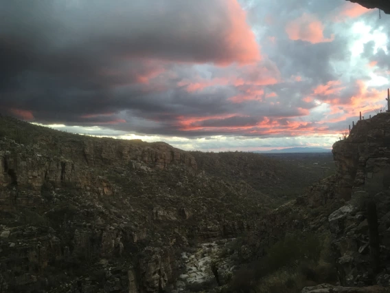 Byron Hempel - Milagrosa post storm - Tucson 2018