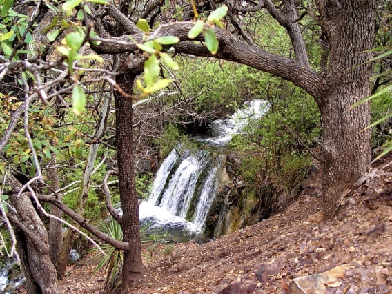 Joanne Roberts - Canyon waterfall- Ft. Huachuca 2010