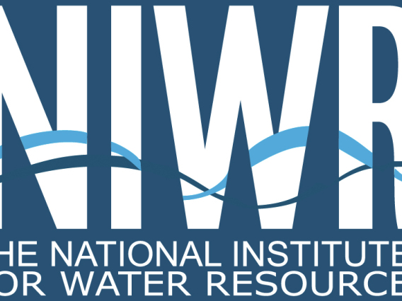 National Institutes for Water Resources (NIWR) logo. Blue with white text. Water runs through the text.