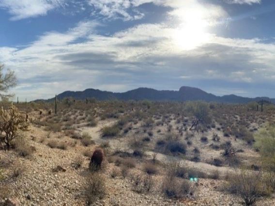 Photo of Hassayampa River desert region