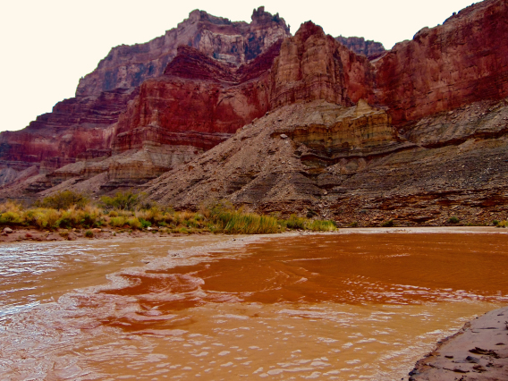 Karletta Chief photo showing the colorado river with sediment making it look brown