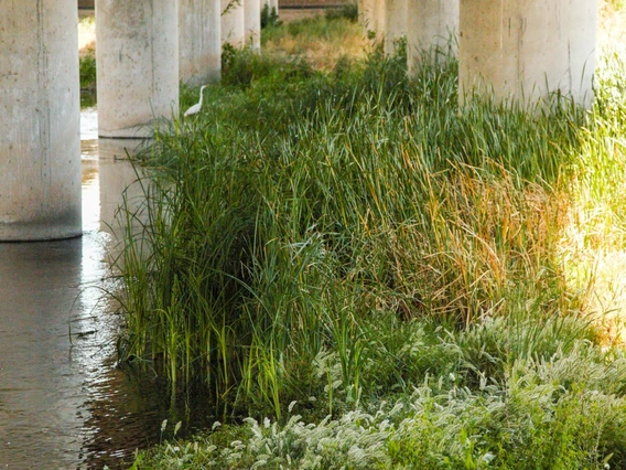 Donna Corbin photo showing water under a bridge