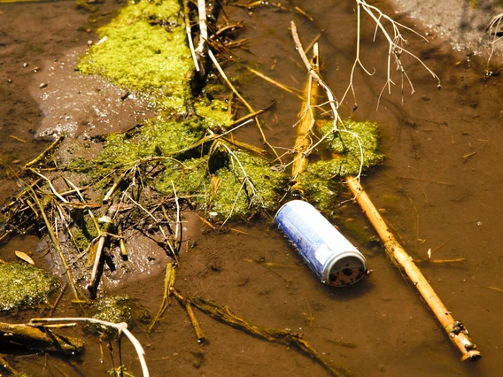 Donna Corbin photo showing waste in wash
