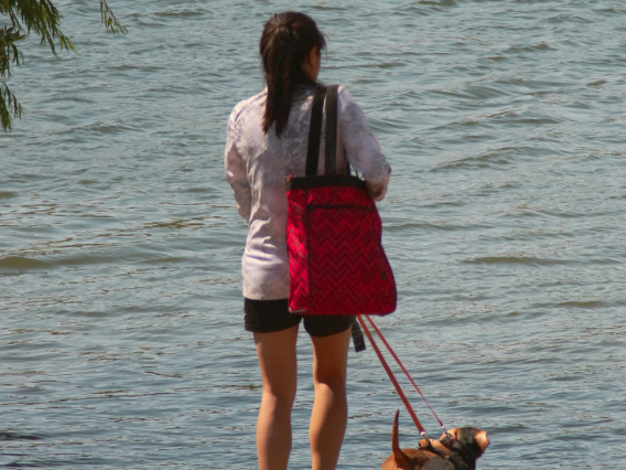 Photo of a person with a dog standing on the edge of the water