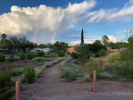 Mark Holden photo of senaca park in tucson arizona. It shows a path and some plant life and features a blue sky with white clouds
