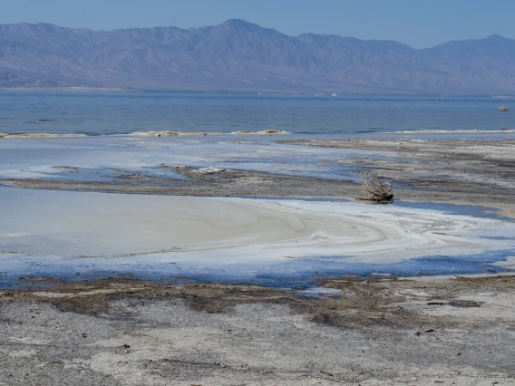 Marilyn Marron; Tides of decay; Salton Sea; 2022