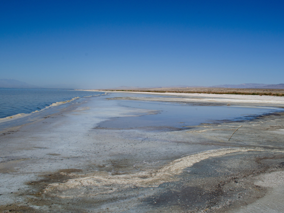 Marilyn Marron photo showing the salton sea. Salt desposits are visable as is a blue sky