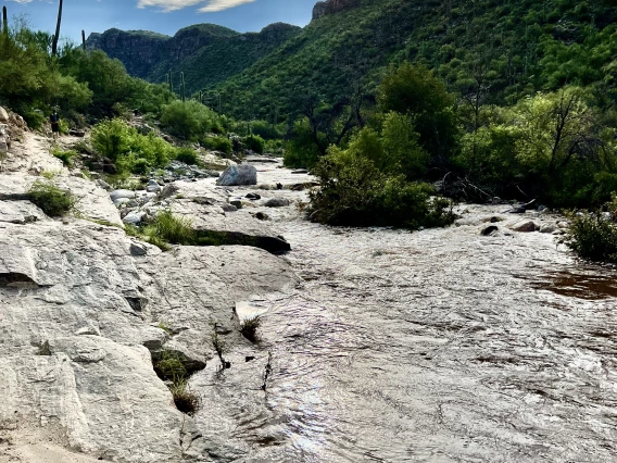 Raquel Nanez; Bear Canyon Creek, AZ