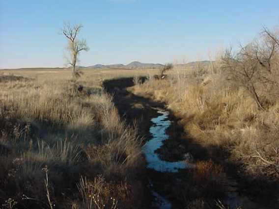 Jean Rodine photo showing a creek that slices through some grasslands