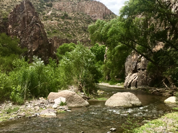 Donna Vetter photo showing riparian area 