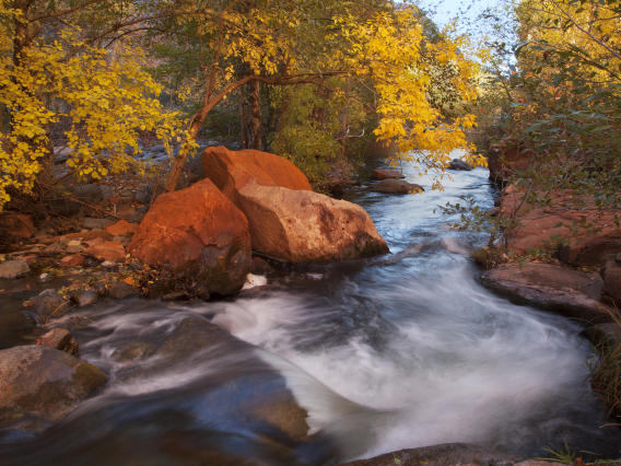 Dave Wilson photo showing West Clear Creek in autumn. Red rocks and leaves with fall colors can be seen