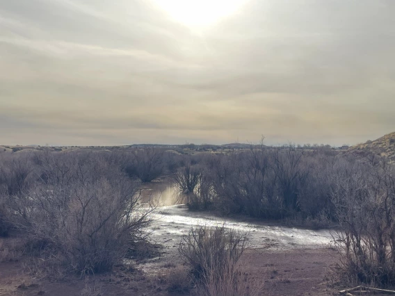 Holly Winters photo showing an ethereal desert scene at dusk