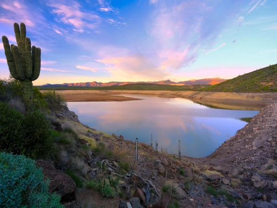 Ted Wuollet photo showing Horshoe Dam Reservoir in the evening with a cactus toward the front and purple clouds and blue sky in the background