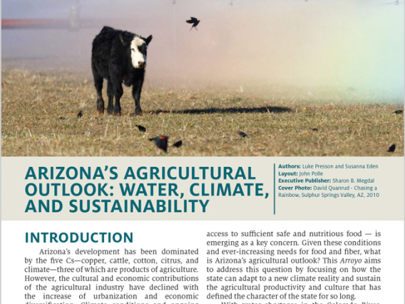 arroyo 2023 cover image featuring a cow and some birds and a rainbow