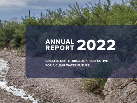 annual report graphic