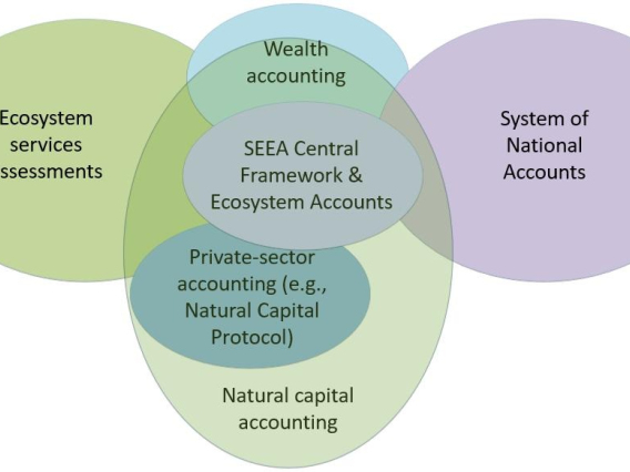 figure showing The relationships between natural capital accounting frameworks, ecosystem services assessments, and the System of National Accounts
