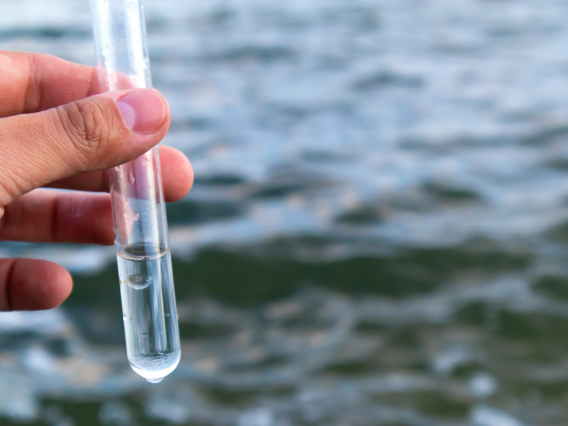 photo of test tube and water