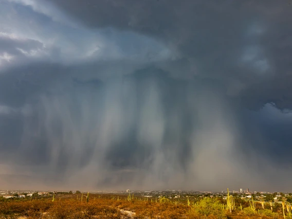 Liz Kemp - More than a Microburst, Pima Community College West Campus, Tucson, AZ, 2023