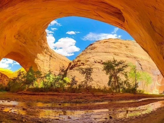 Celeste Boudreaux - Time of drought in the Grand Staircase, Escalante River, UT