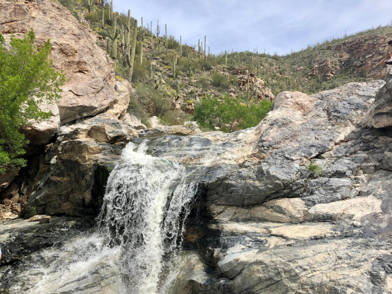 Noah Cannold - Arizona Water Abundance, Tucson, AZ, 2023