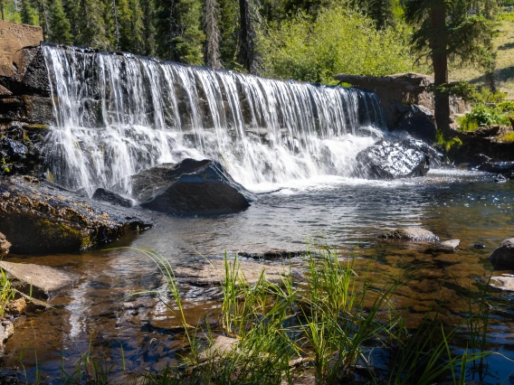 Kristopher Drozd - Trout Barrier, Thompson Trail, Greer, AZ, 2023